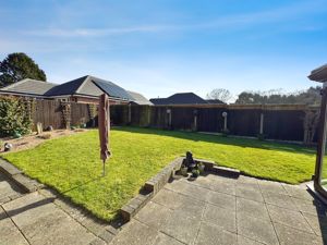 CONIFER CLOSE- click for photo gallery